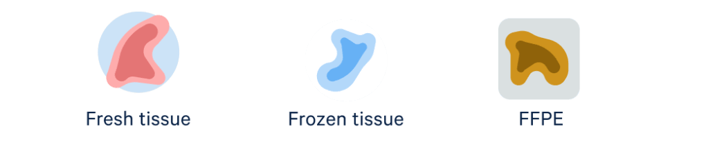 Use fresh, frozen, or fixed samples—even FFPE samples